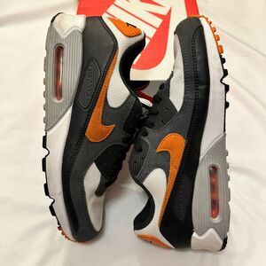Nike Air Max 90, M11, W12.5, Fall Shoes, Autumn Shoes, DM0029-101